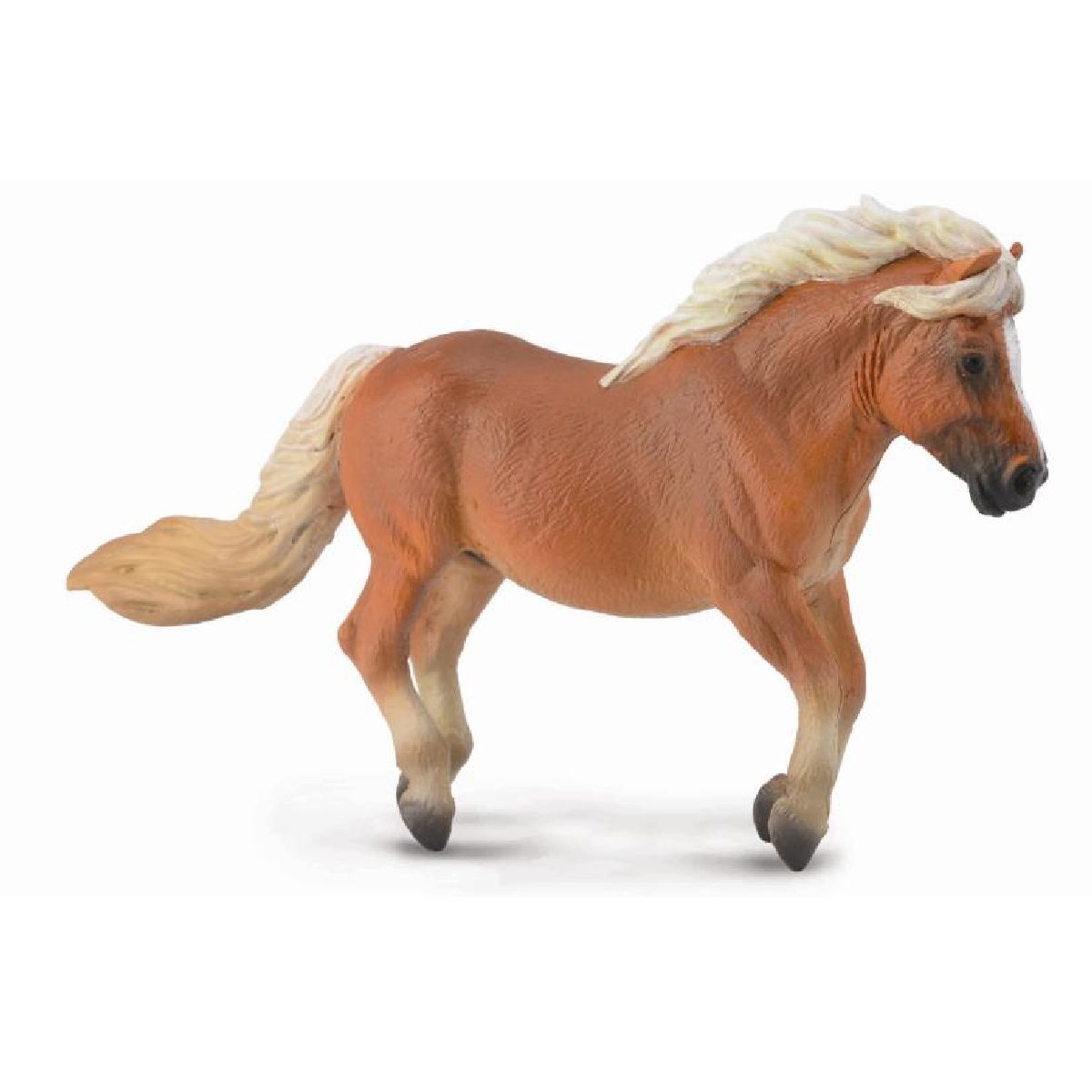 Pony Shetland Castano