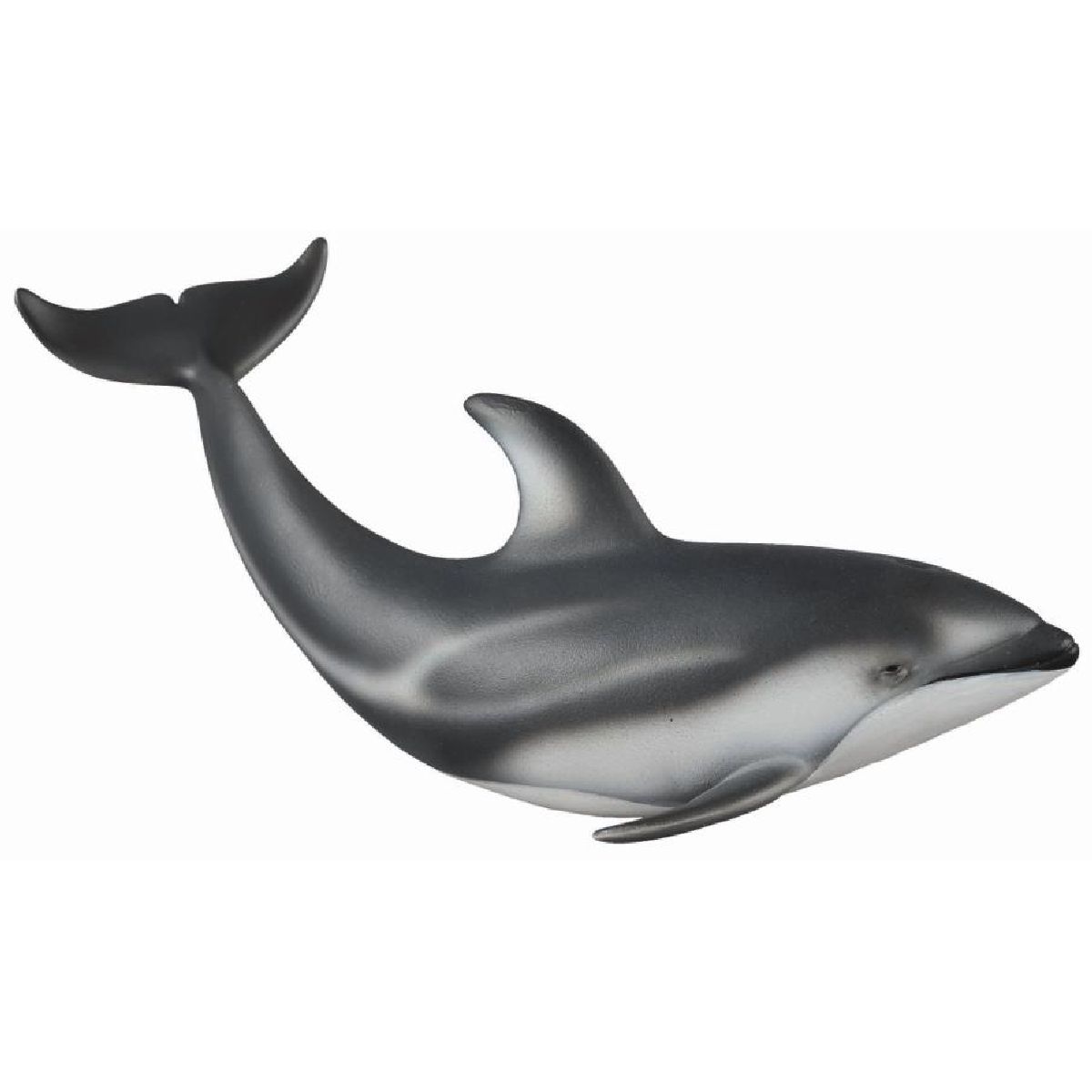Delfino del Pacifico