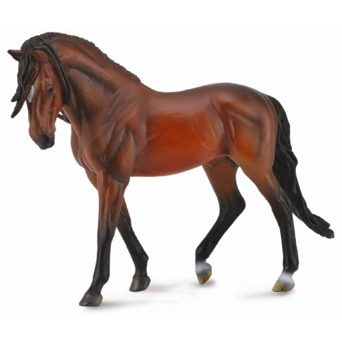 Stallone andaluso luminoso Bay