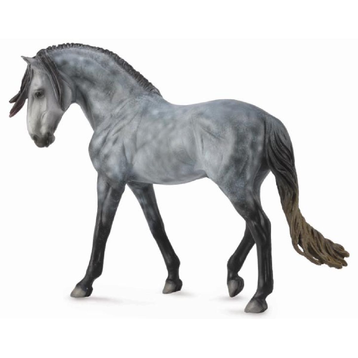 Stallone andaluso grigio scuro