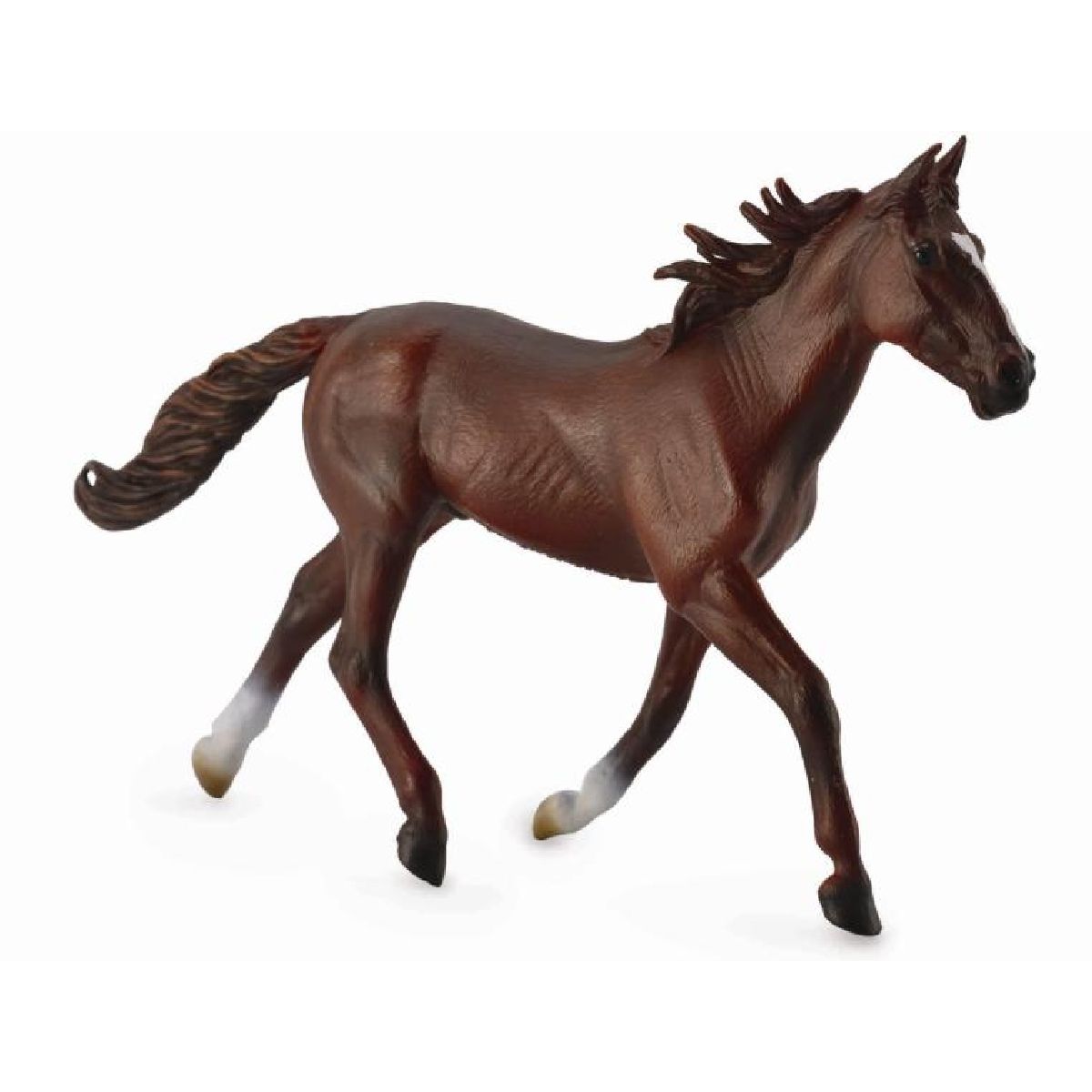Standardbred Pacer Stallone Castagno