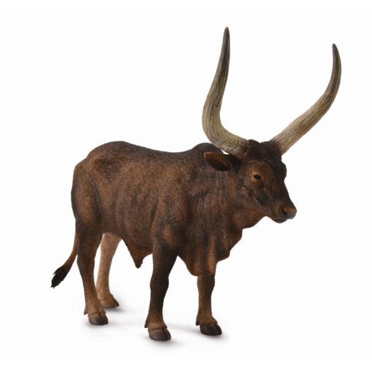 Toro Ankole-Watusi