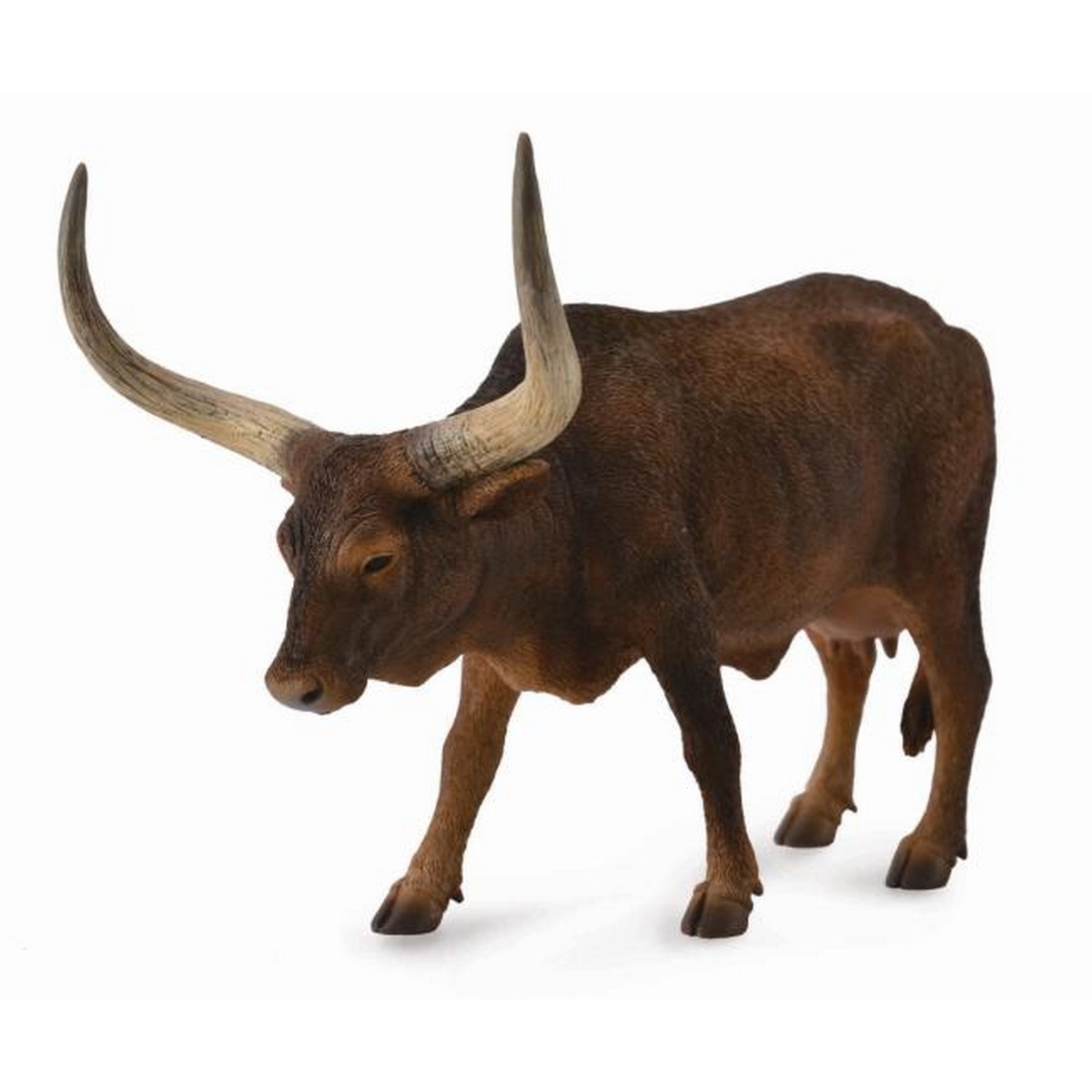 Mucca Ankole-Watusi
