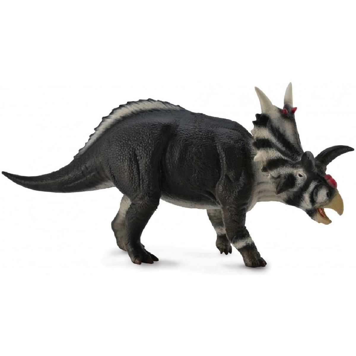 Xenoceratopo
