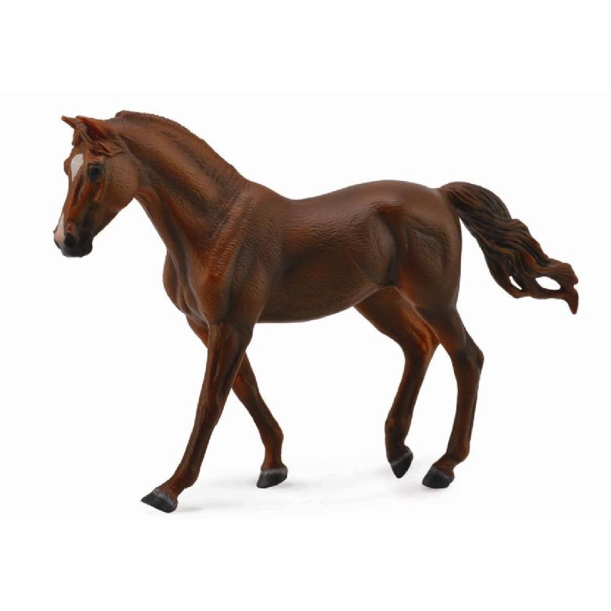 Missouri Fox Trotter Mare Marrone
