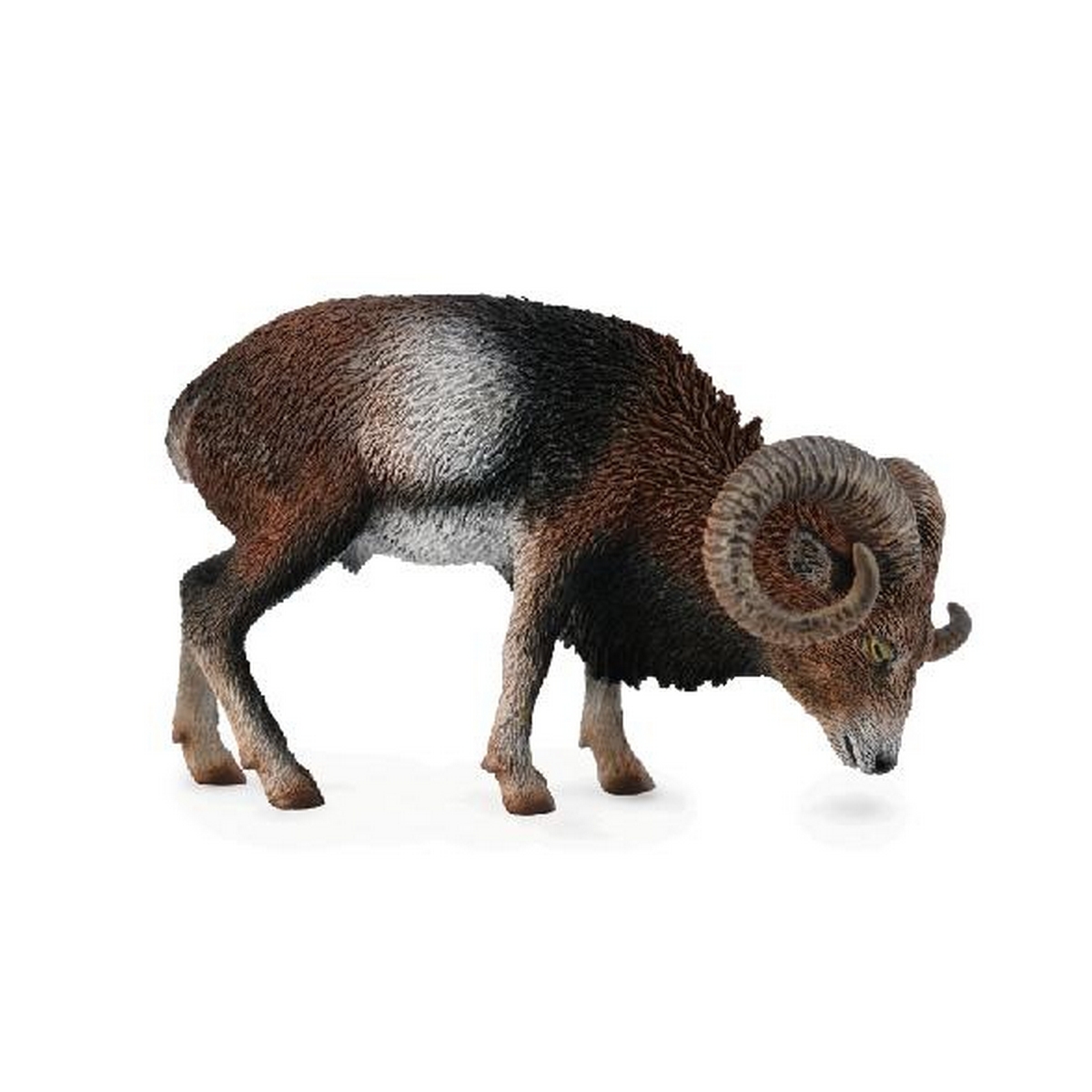 Muflone europeo