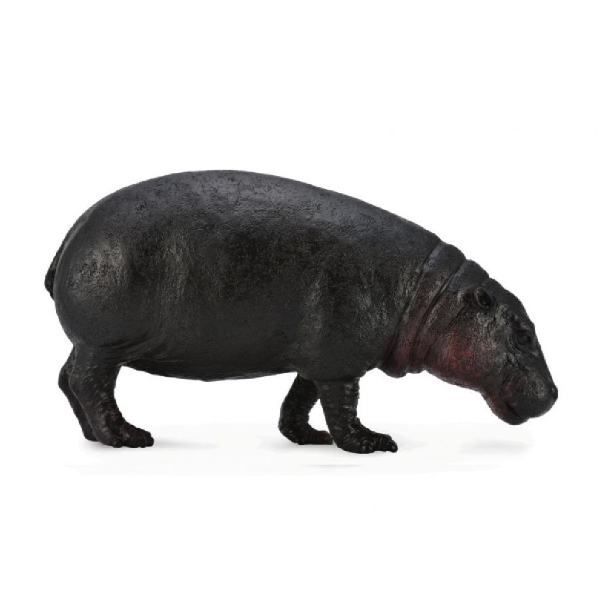 Ippopotamo pigmeo