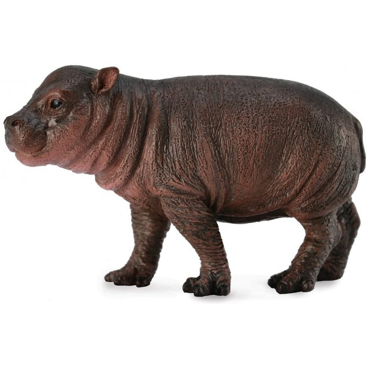 Cucciolo di Ippopotamo pigmeo