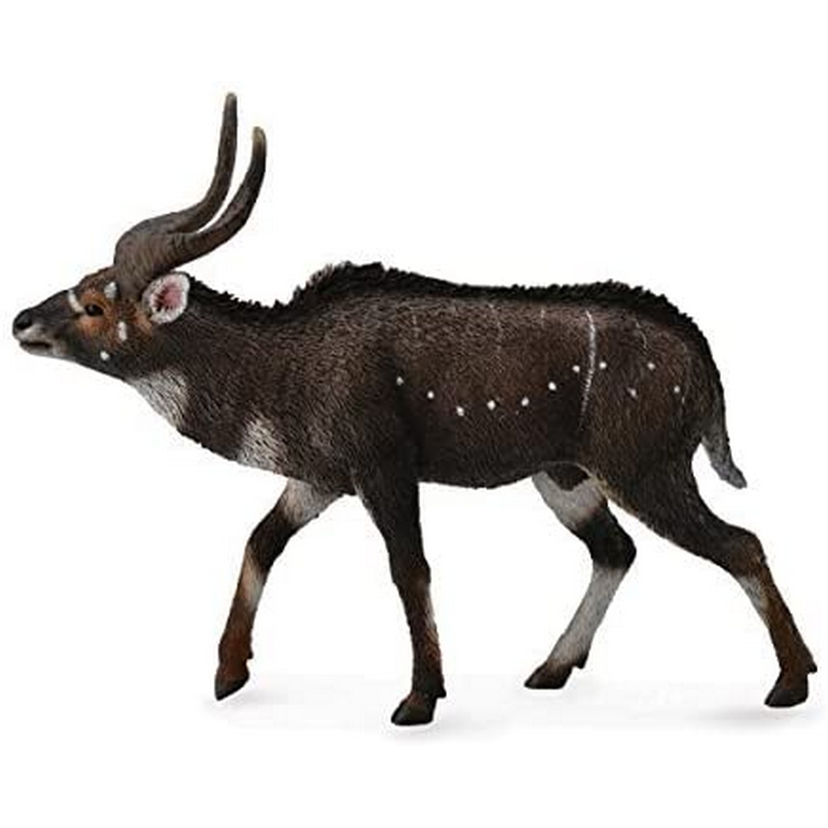 Nyala di montagna