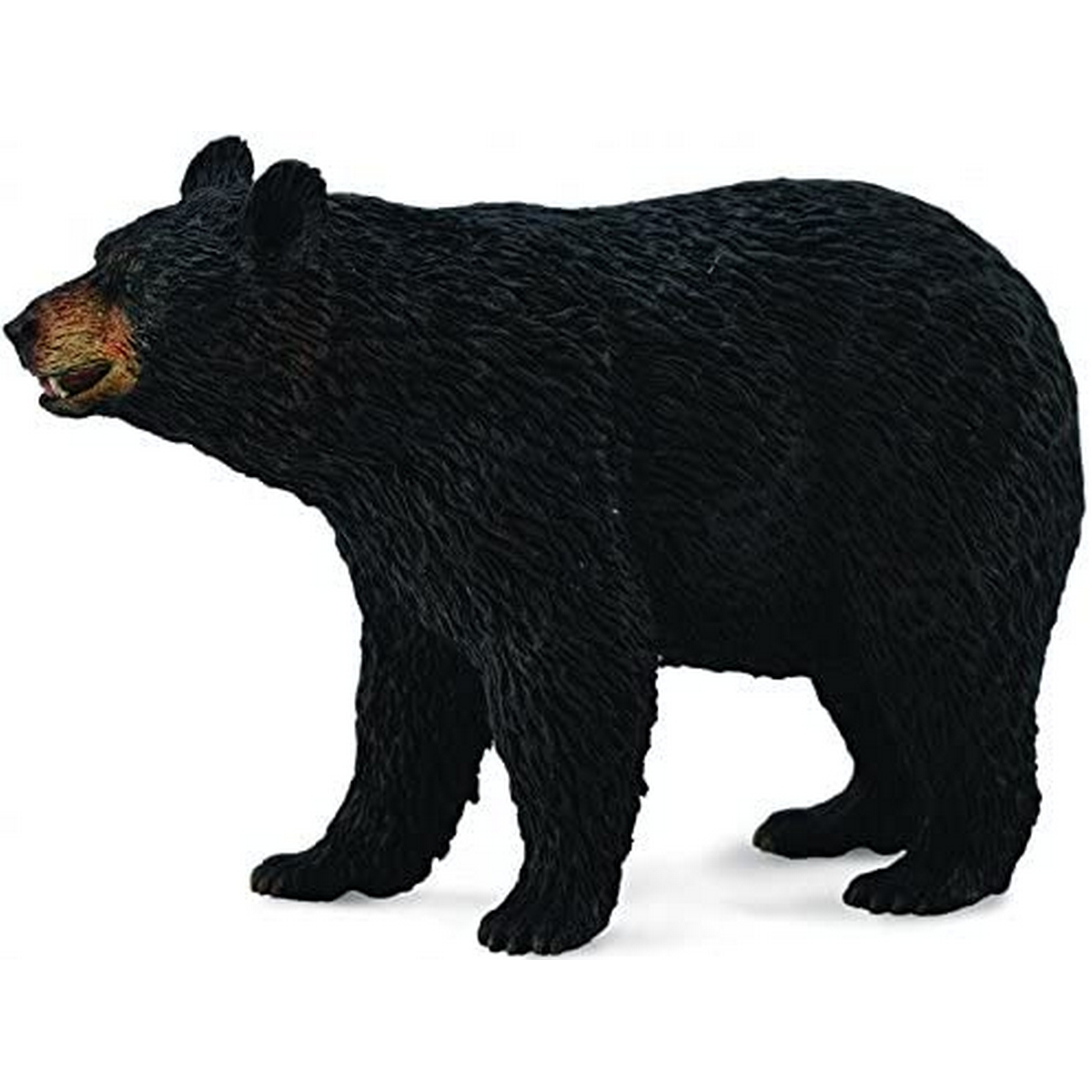 Orso Nero