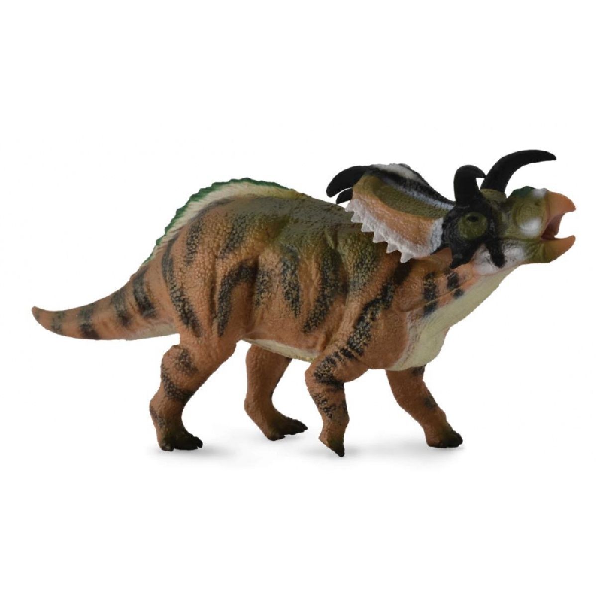 MEDOSACERATOPS