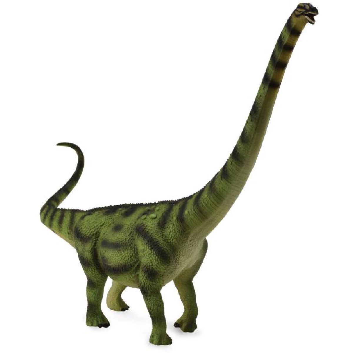DAXIATITAN