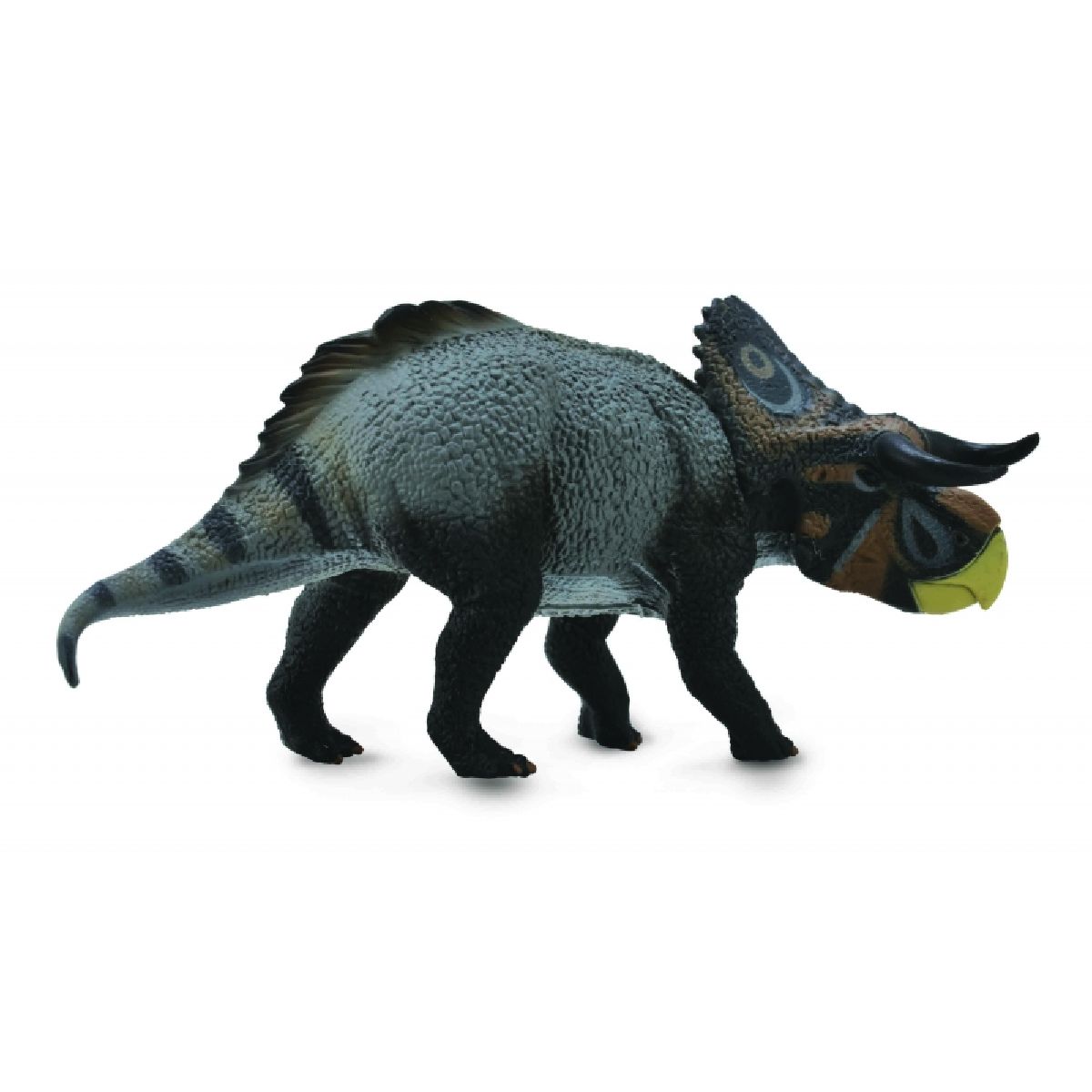 NASUTOCERATOPS