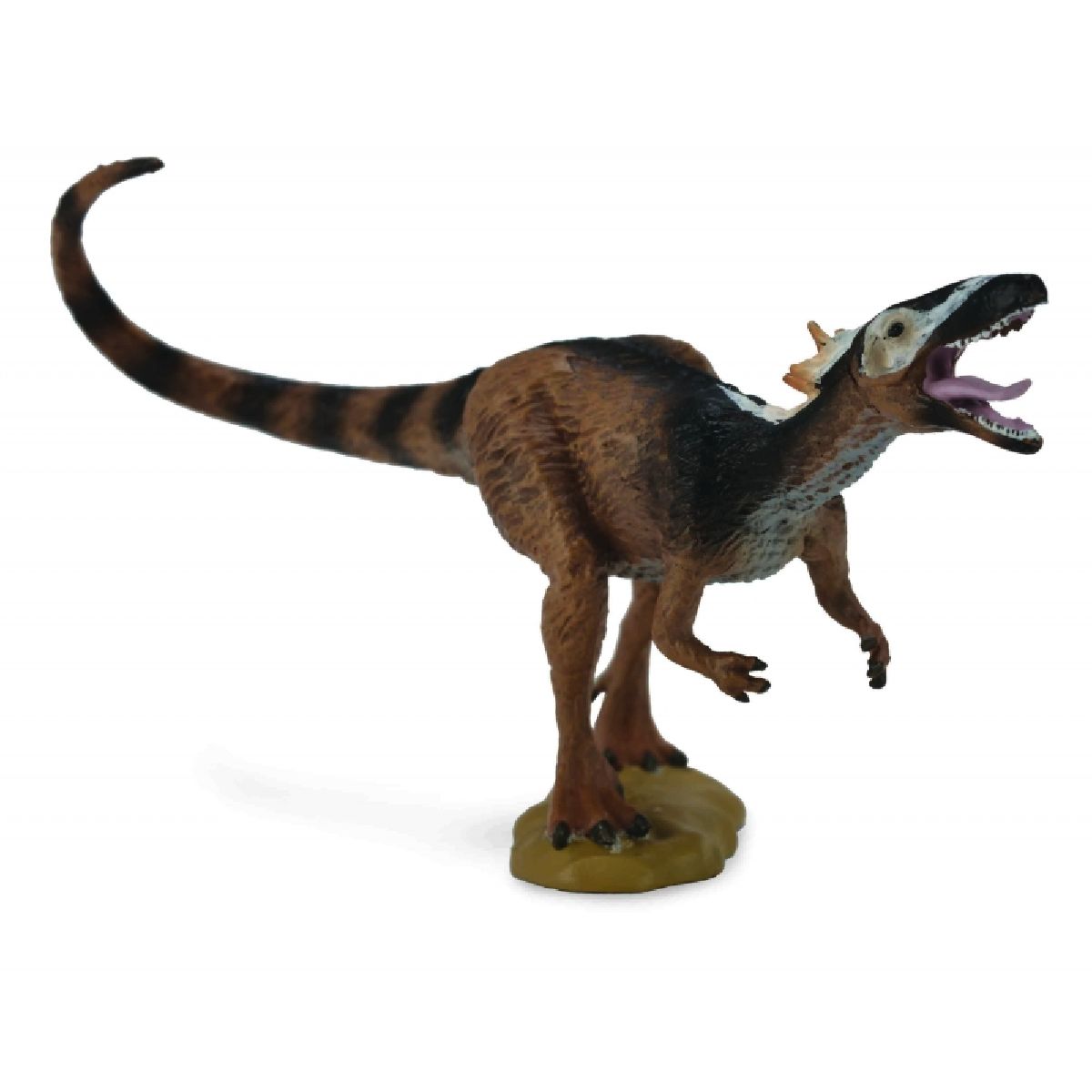 XIONGGUANLONG