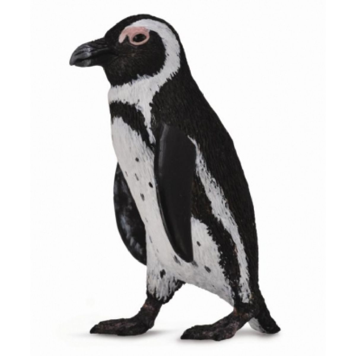PINGUINO SUDAFRICANO