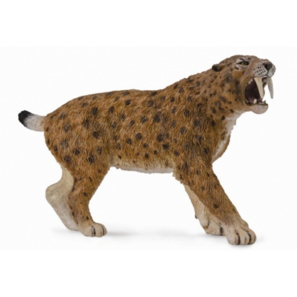 SMILODONTE
