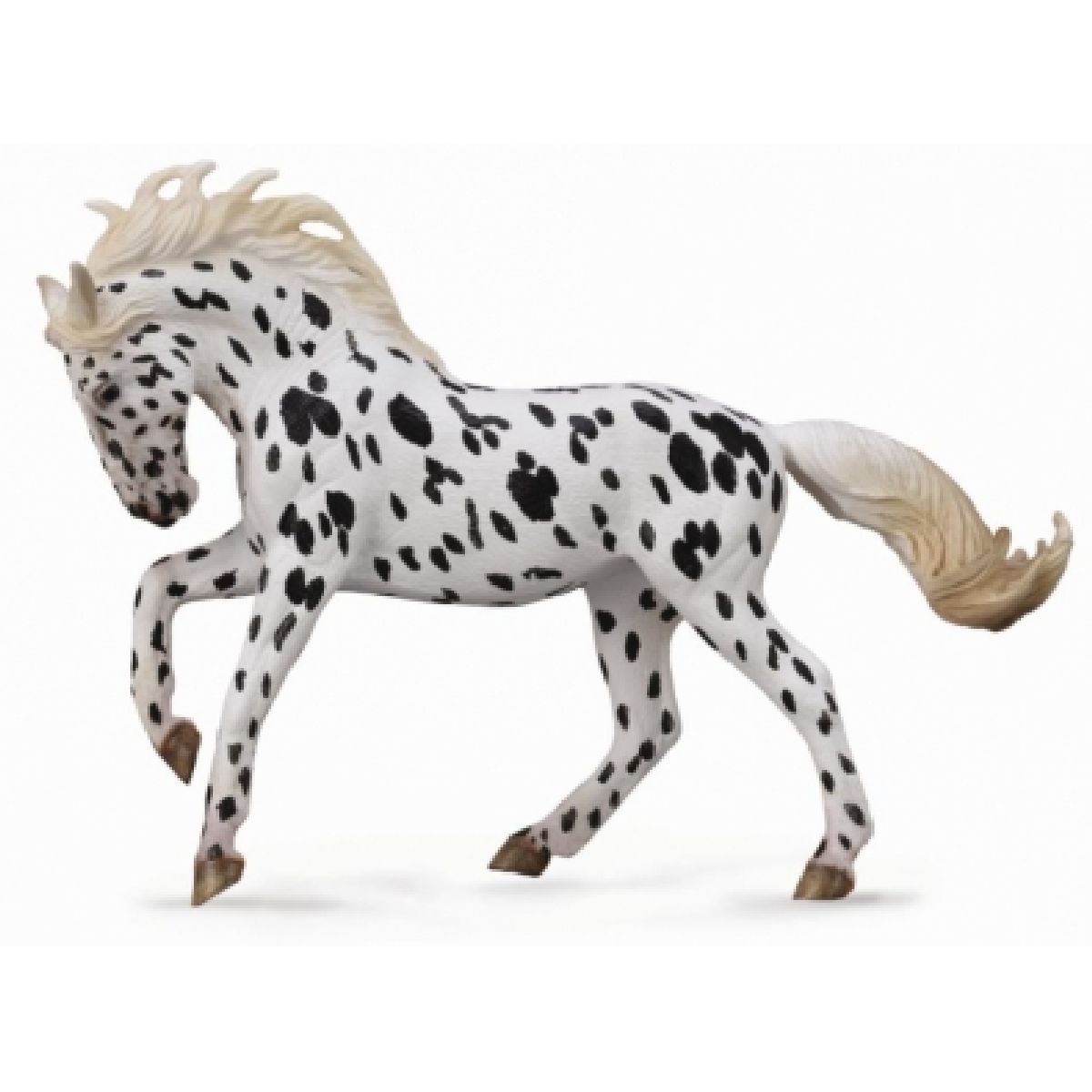 Knabstrupper Mare- Black Leopard