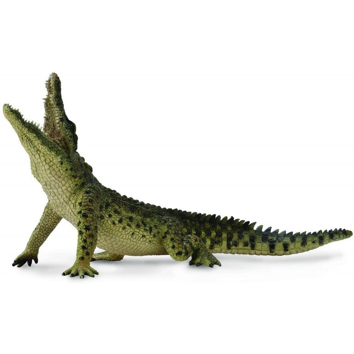 Coccodrillo del Nilo