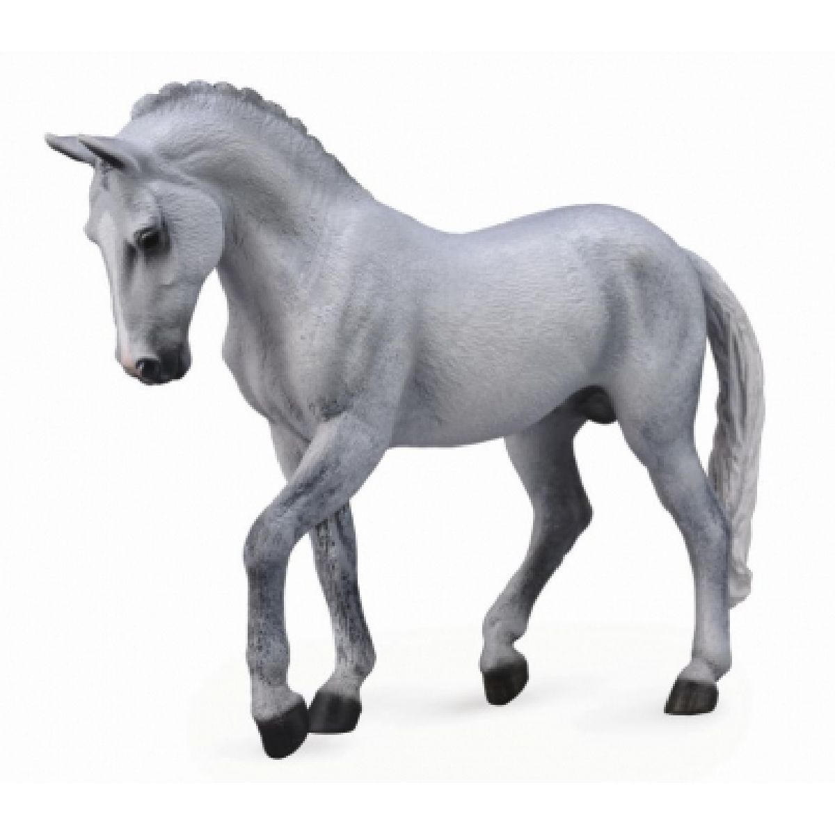 STALLONE TRAKEHNER GRIGIO