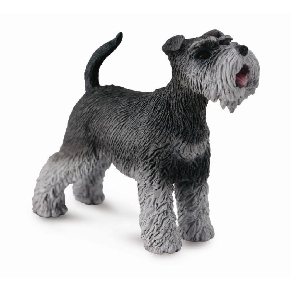 Schnauzer