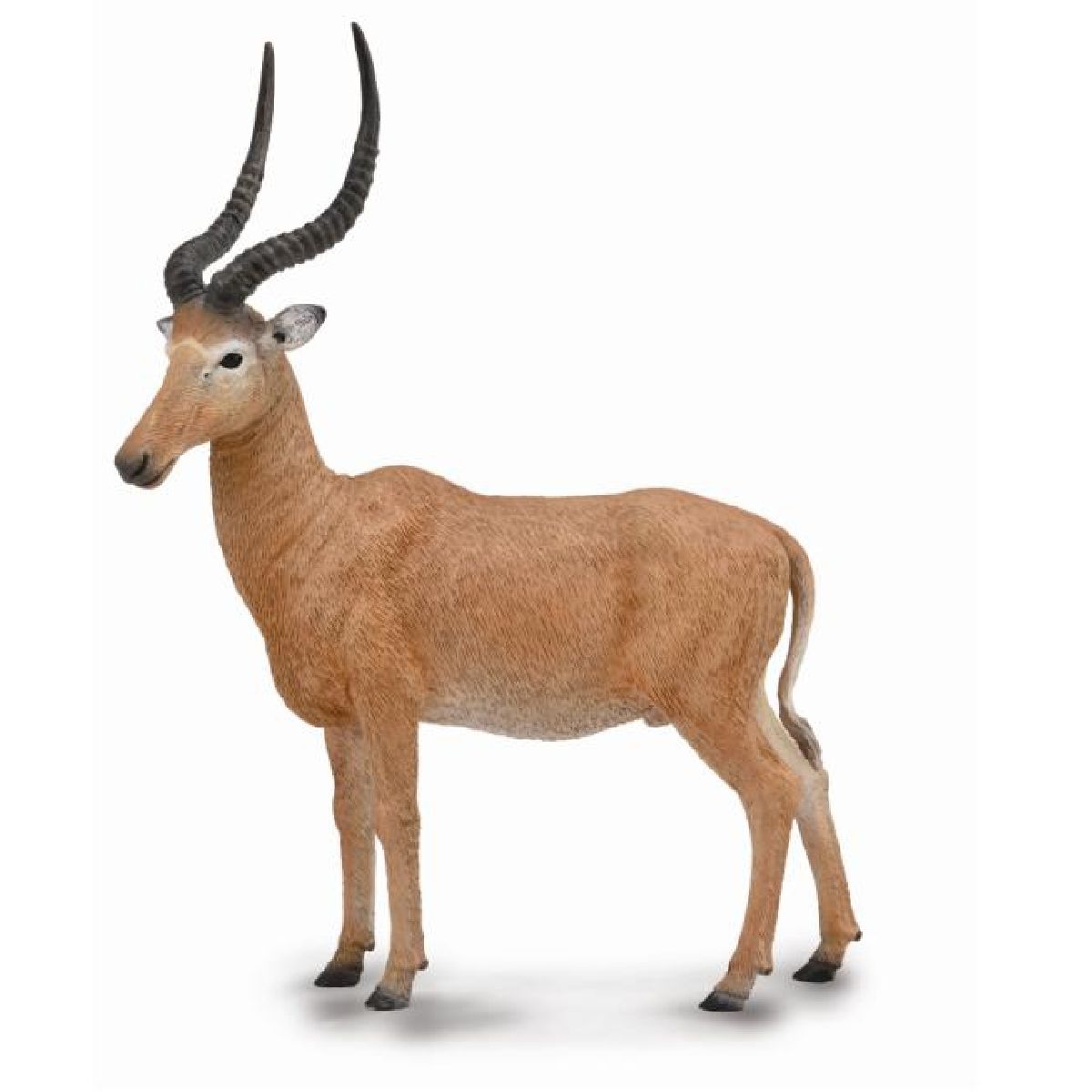 Damalisco di Hunter