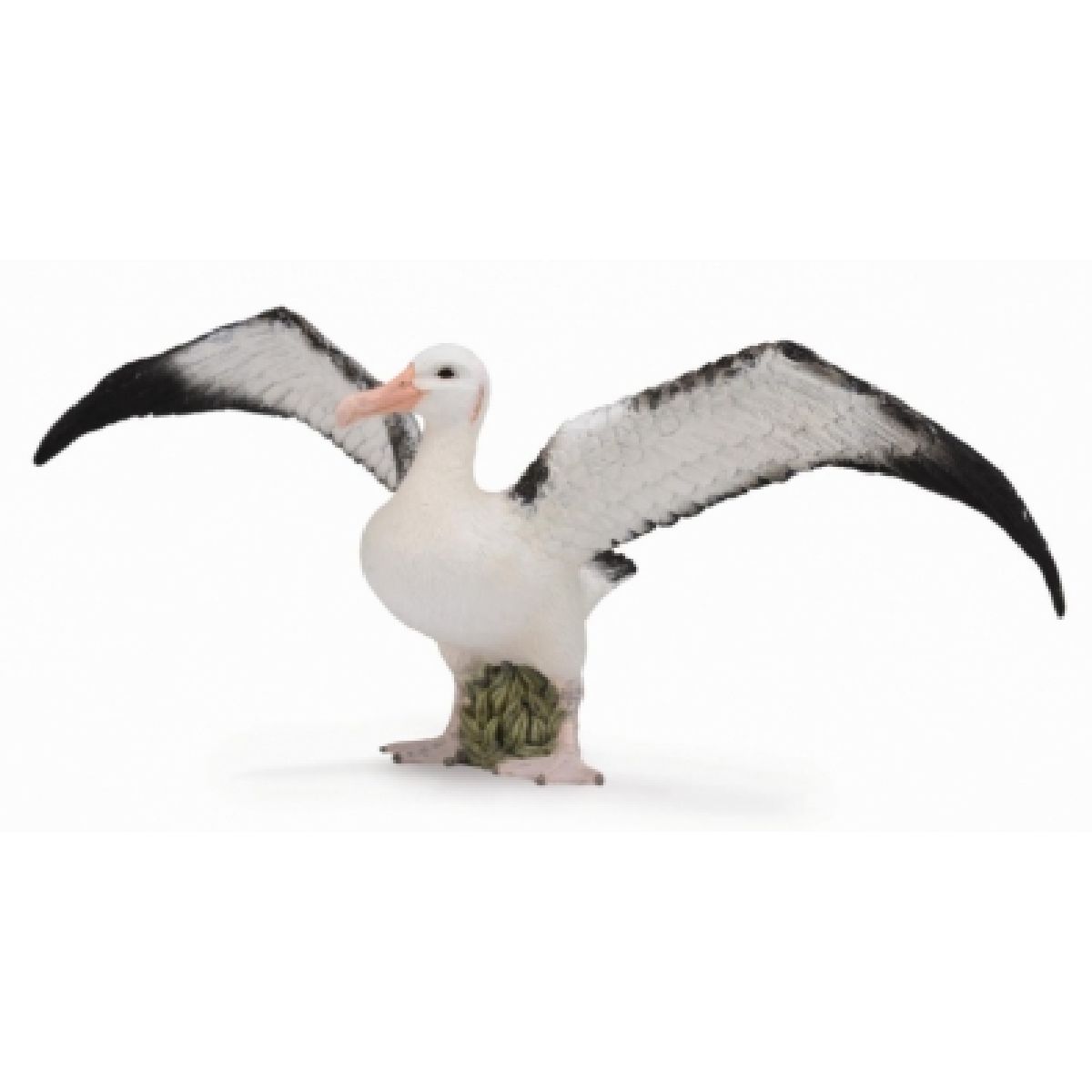 Albatros Urlatore