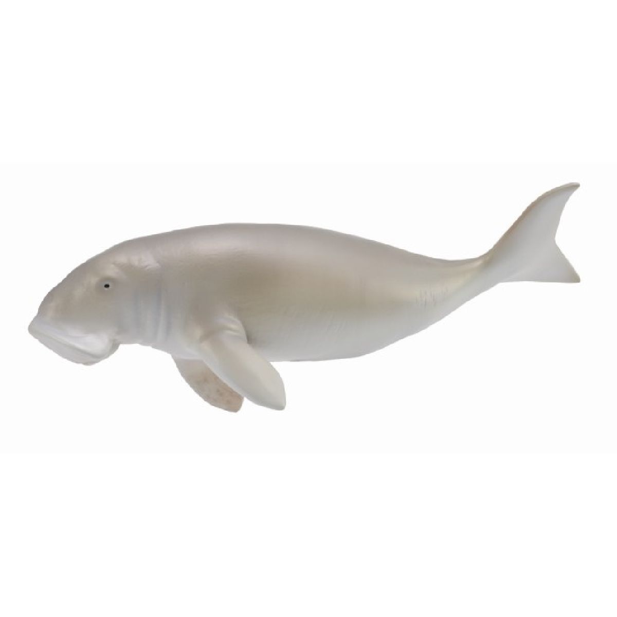 Dugongo