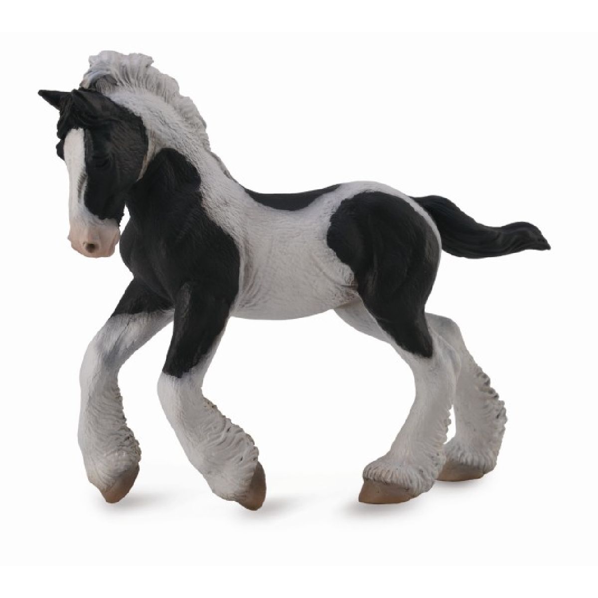 Gypsy Puledro pezzato bianco e nero