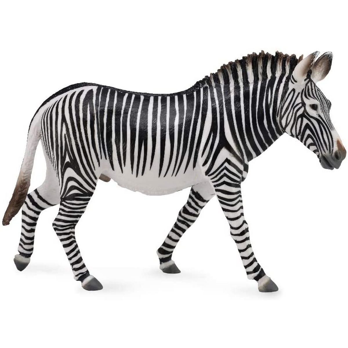 Zebra di Grevy