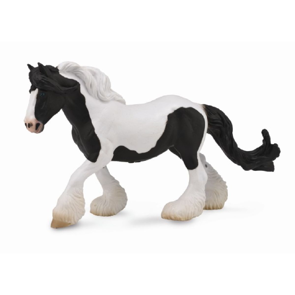 Cavalla Gipsy - Pezzato bianco e nero