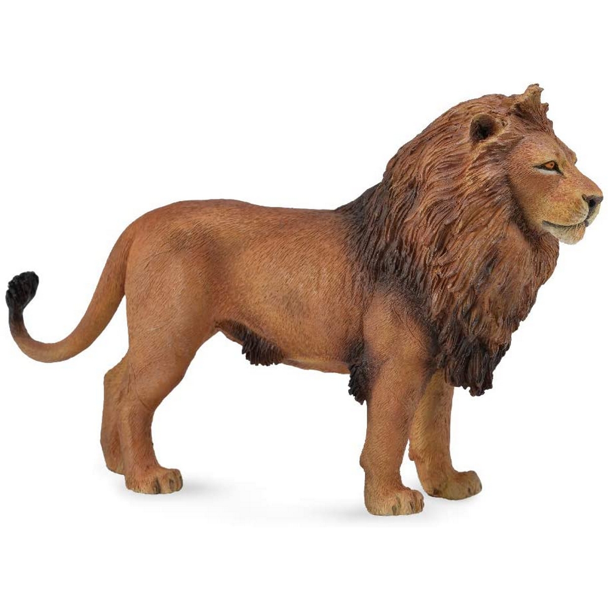 Leone Africano