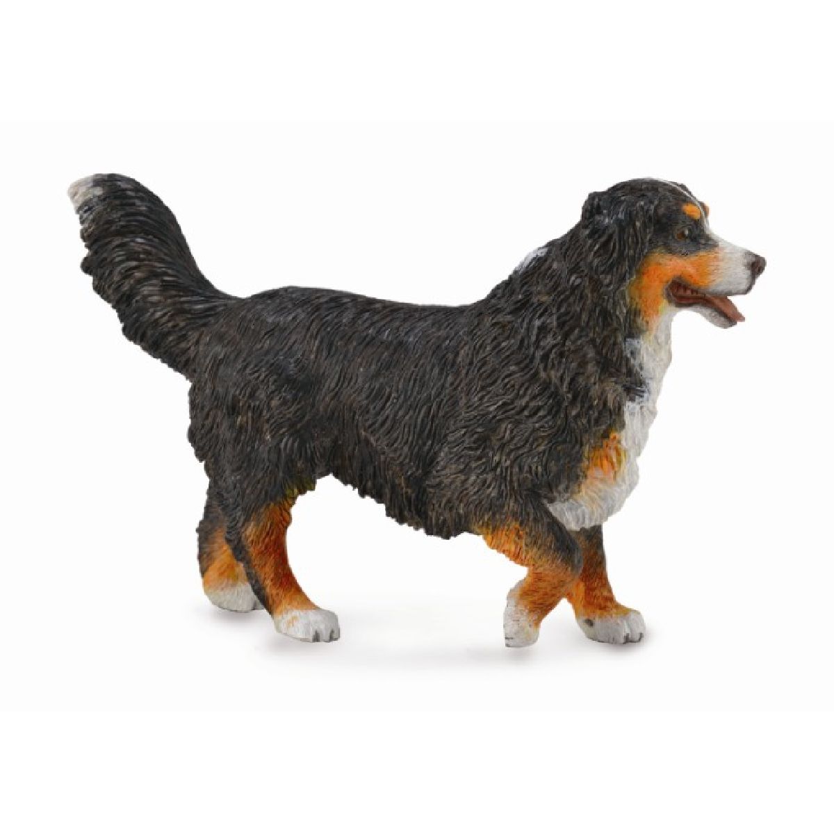 Bovaro del bernese