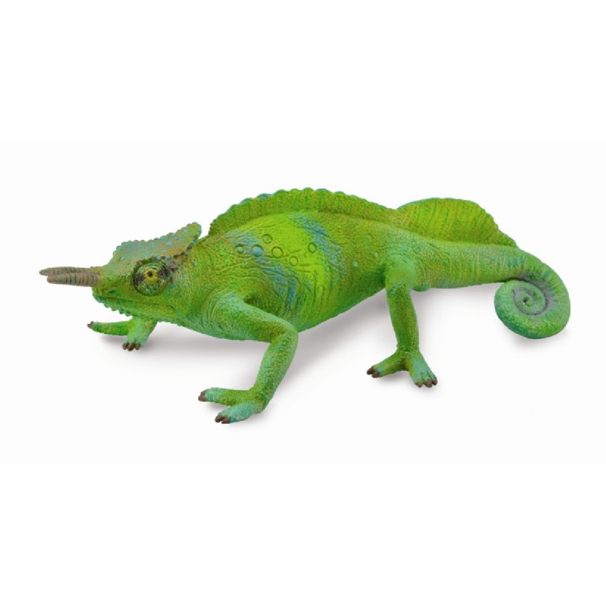Camaleonte Cameroon Sailfin