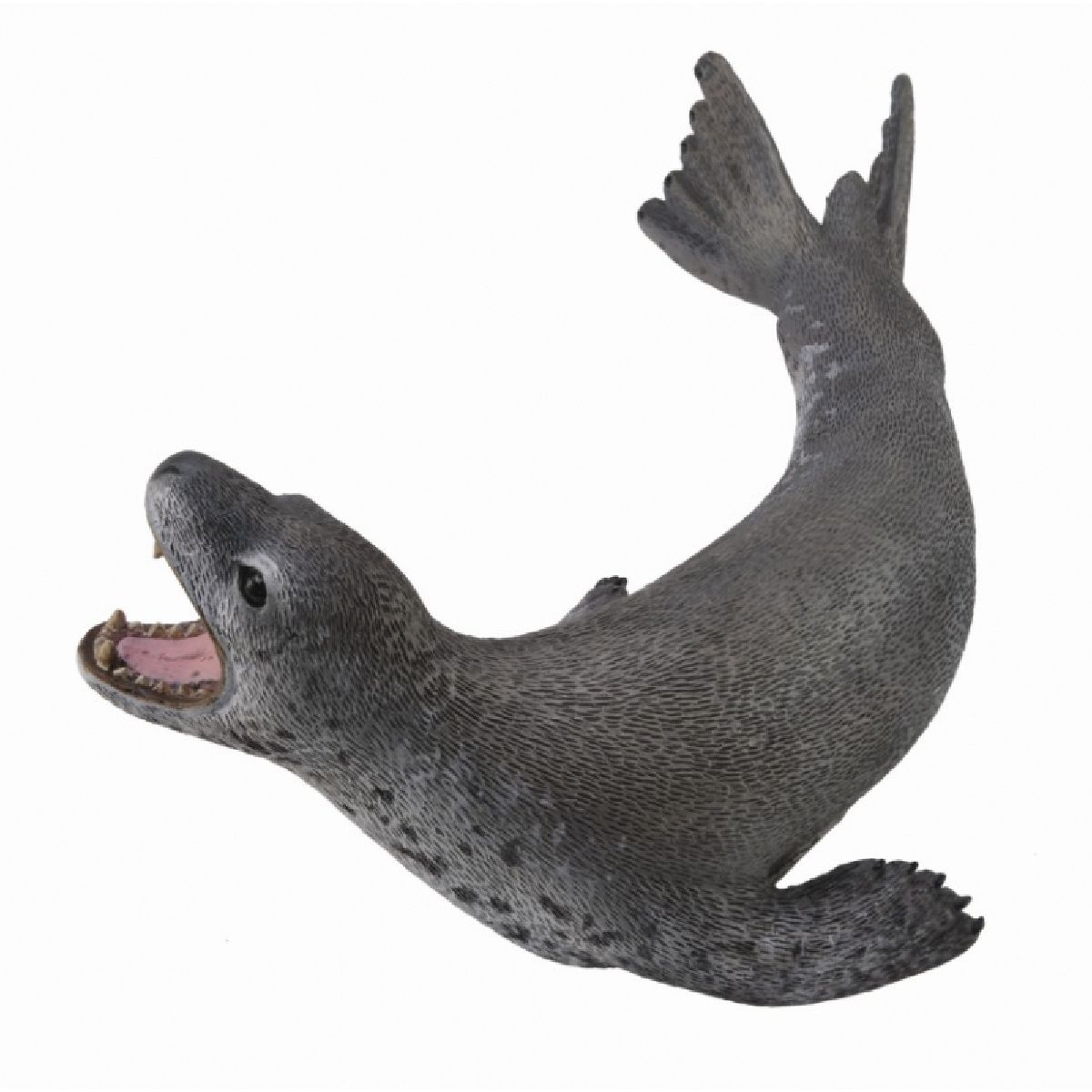 Foca Leopardo