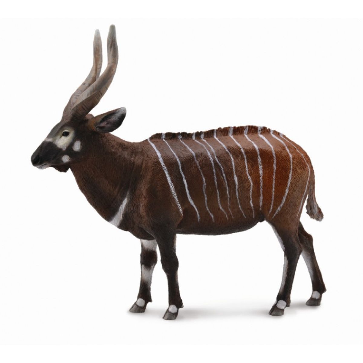 Bongo