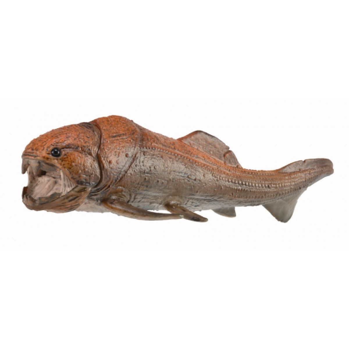 Dunkleosteus con mascella mobile - Deluxe scala 1:20